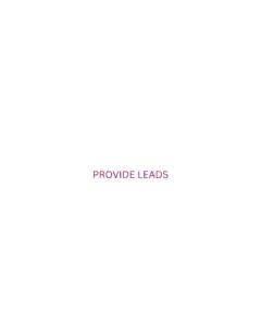 Minimalist graphic with a pink background and a white text box containing the text 'provide leads' — representing the confidence and results-driven approach of the best freelance digital marketer in Thrissur for valuable business growth